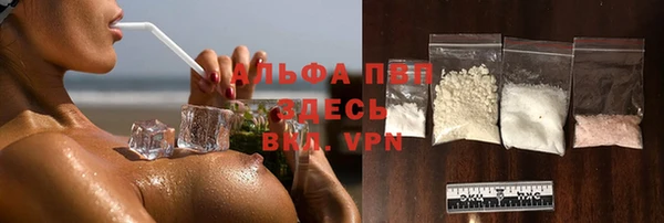 2c-b Ельня