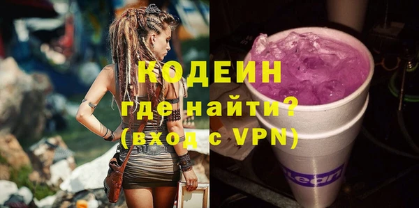 2c-b Ельня
