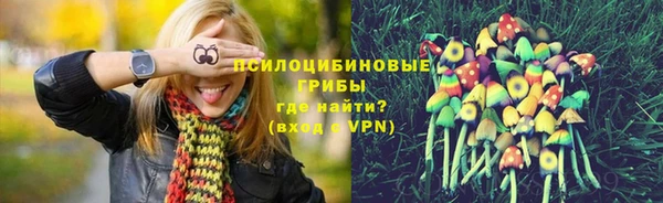 2c-b Ельня