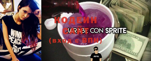 2c-b Ельня