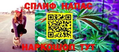 spice Беслан