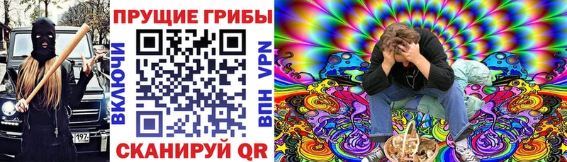 Галлюциногенные грибы Psilocybe  гидра ТОР  Зеленокумск  продажа наркотиков 